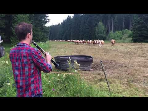 Publikum des Jahres 2017: David Orlowsky über das Publikum