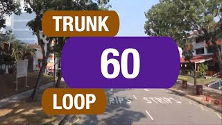 SBS Transit Trunk 60 | Bus Service Route Visual