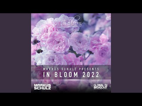 Come Back Home (In Bloom 2022)