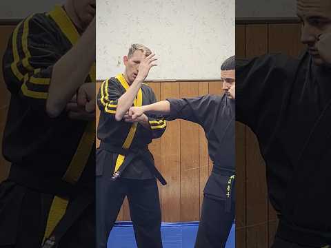 Tracy’s Kenpo technique: Stopping the Staff #foryou #kenpokarate #kenpo #viralvideos #shortsviral