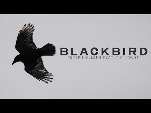 Blackbird - Peter Hollens feat. Tim Foust