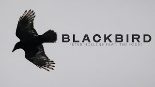 Blackbird - Peter Hollens feat. Tim Foust