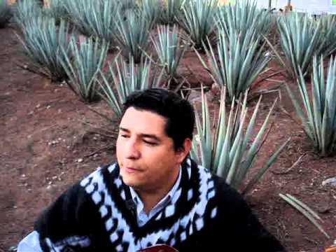 Pedro Infante - Viejos Amigos PANCHO BALBUENA EN LA PLAZA GARIBALDI www.panchobalbuena.com