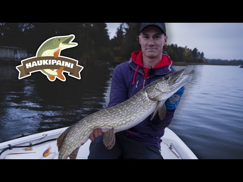 HAUKIPAINI #1 - "Kumi vs. Karva" | Syksyistä hauenkalastusta merellä