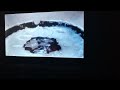 Muppet Christmas Carol Rizzo The Rat Jump Into The Water