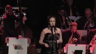 concert 15 12 17  Briscope It was a very good year