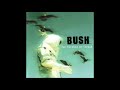 Bush - Prizefighter