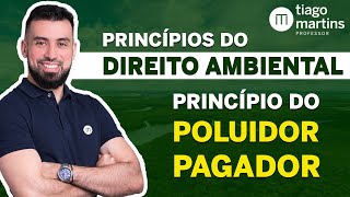 Princípios do Direito Ambiental - PRINCÍPIO DO POLUIDOR PAGADOR [ RESUMO! ]