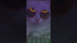 Download lagu Mentahan Video Aesthetic,Storywa✅🔥LINK DONWLOAD👇 mp3