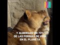 DjY9e7Yc7E4/default.jpg