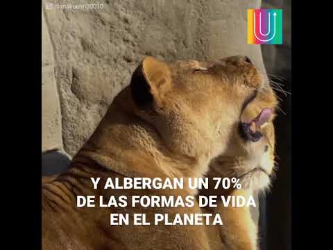 DjY9e7Yc7E4/default.jpg