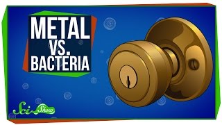 Metal vs. Bacteria