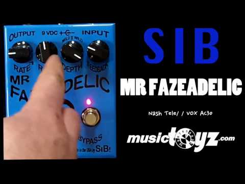 SIB Electronics Mr. Fazeadelic 2010s image 4