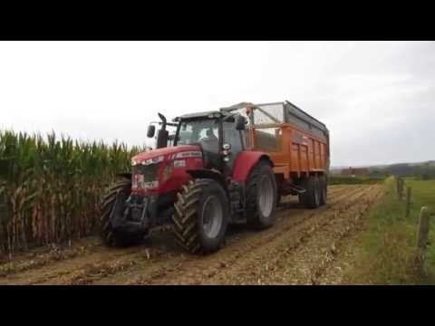 loonwerken De Henau maïs hakselen