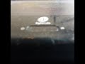 Opening To The Fox The Hound 1994 VHS