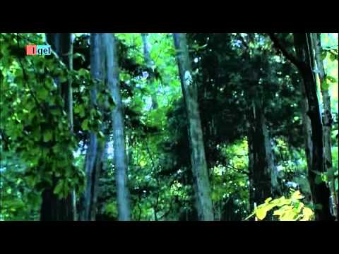 Igeljahr - 03 Sommer bis Herbst