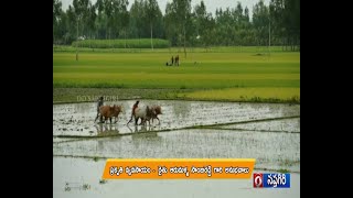 పసిడి పంటలు || ప్రకృతి వ్యవసాయం - రైతు అనుభవాలు