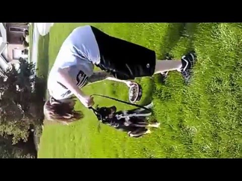 Kalik's training video