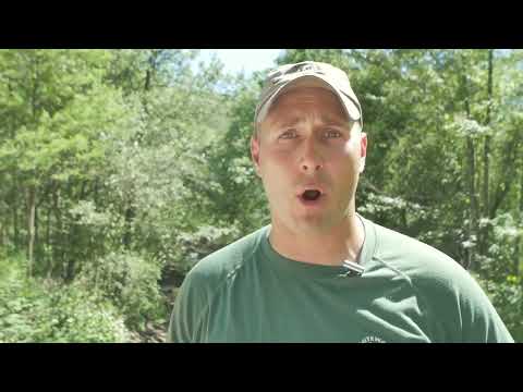 Whitewater Rafting for 1, 2, or 4 on Lehigh River at Whitewater Rafting Adventures - Second Medium