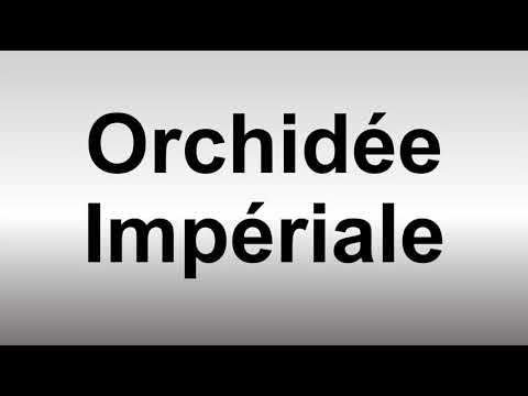 How to Pronounce Orchidée Impériale