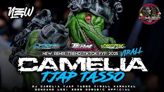Download lagu DJ CAMELIA TJAP TASSO VIRALL KARNAVAL GONDANG LEGI 2025 || DDMUSIC  mp3