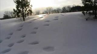 Utah Phillips/Jody Stecher & Kate Brislin - Walking Through Your Town in the Snow