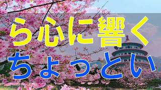 【テレフォン人生相談】 大迫先生から心に響くちょっといい話 おすすめ名回答編