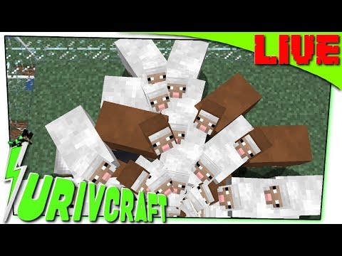 Surivcraft in LIVE - Nuova Farm di LANA