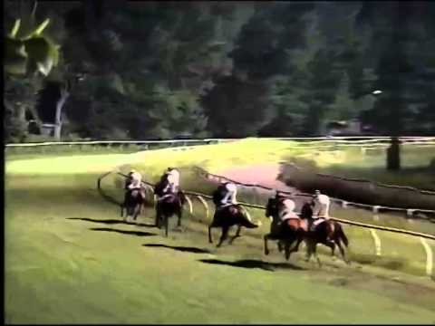 Galoppo 16/07/2014 - Corsa 6