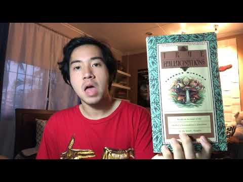 Terence McKenna’s True Hallucinations (1993) BOOK REVIEW