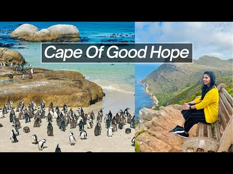 Where To See Penguins In South Africa | Cape Of Good Hope Beach Point | Road Trip | Hindi Vlog