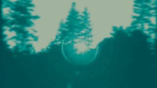 Blackmail: Swans (1987)