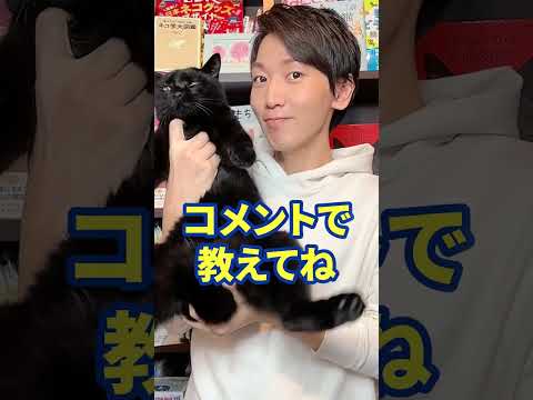 猫がする5つの面白いこと