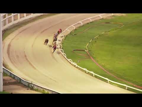 Newinn Session - Star Sports & TRC Greyhound Derby Semi Final