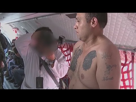 New images of the transfer of Z-42, Omar Treviño Morales