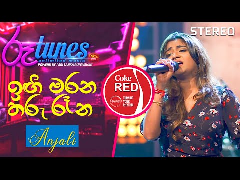 Engi Marana Tharu Rena | ඉඟි මරන තරු රෑන | Anjali Rajkumar | Coke RED | @RooTunes ​ ​