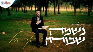 ארי היל - נשמה שבורה | Ari Hill - Neshama Shvura