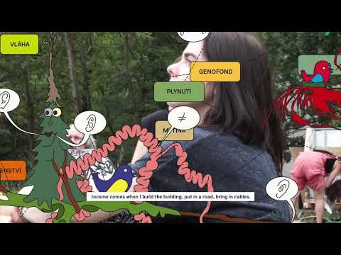 WE ARE WOODS: About Plant Intelligence and Interspecies Communication