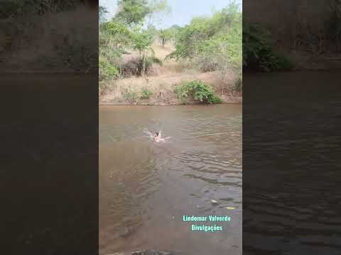 Criança Raíz no Río Claro em Ivolândia-Goiás #sitio #goiás #goiás
