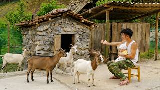Download lagu The soldier took care of the baby while building a goat shed to start a new life. mp3