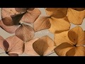 Granorte - Produkte 2019