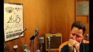 Video thumbnail for ElectroVoice EV 631 Omni Dynamic Harp Mic by GoldenBug