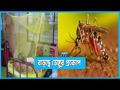 বিভিন্ন জেলায় বাড়ছে ডেঙ্গুর প্রকোপ