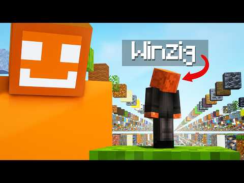 ÜBERLEBEN wir SKYGRID ABER wir sind WINZIG?!...