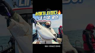 첫 대광어를 잡게해준 웜은? 🎣#대광어#서해태안#신출항호#바다로간정자매