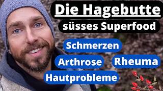 Die Hagebutte- süsses Superfood bei Schmerzen, Rheuma, Arthrose und mehr.