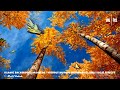 Islamic Background Nasheeds ONE BIG FAMILY ᴴᴰ No Music Only Vocal Effects اه
