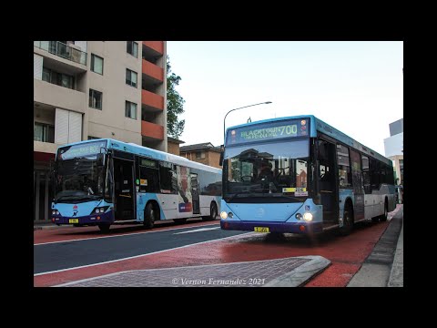 CDC Hillsbus m/o 1450 (ZF - Custom Coaches CB60 - Volvo B10BLE)