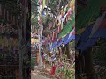 Mahakal Mandir Shiva Darjeeling