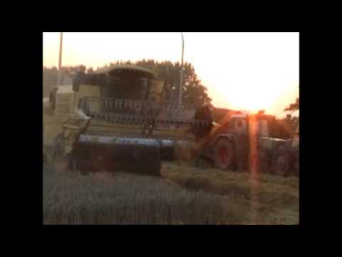 Watteyne: Maaidorsen.